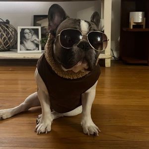 Meet your Posher, Noel